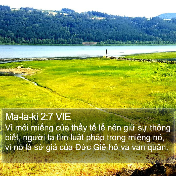 Ma-la-ki 2:7 VIE Bible Study