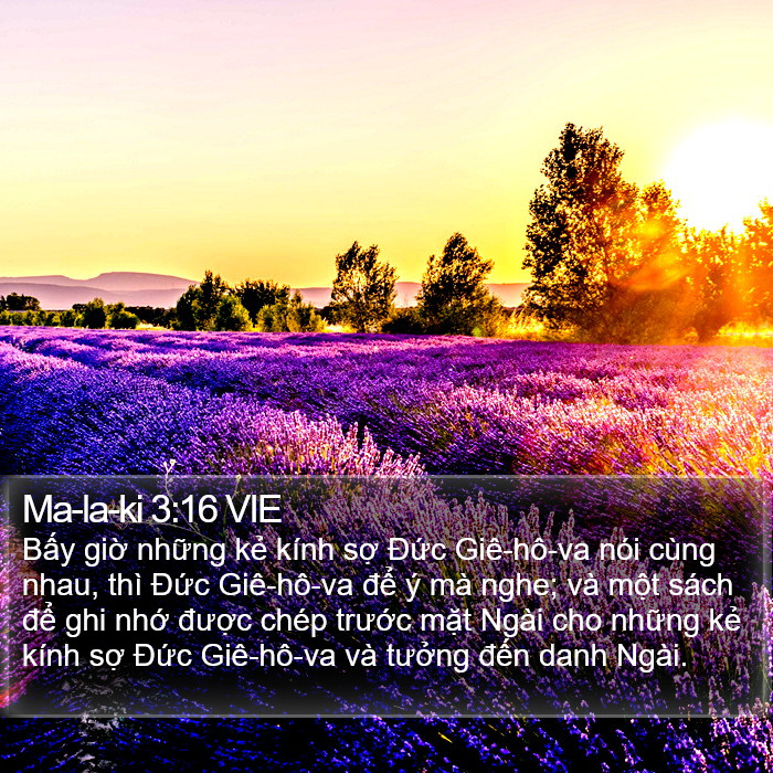 Ma-la-ki 3:16 VIE Bible Study