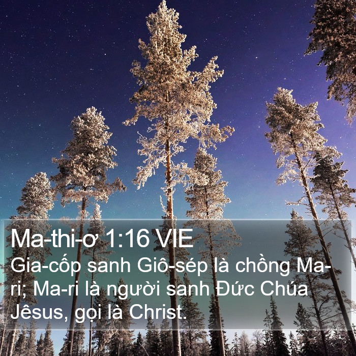 Ma-thi-ơ 1:16 VIE Bible Study