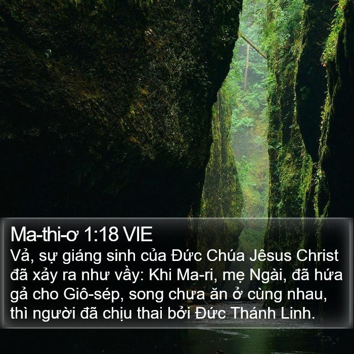 Ma-thi-ơ 1:18 VIE Bible Study