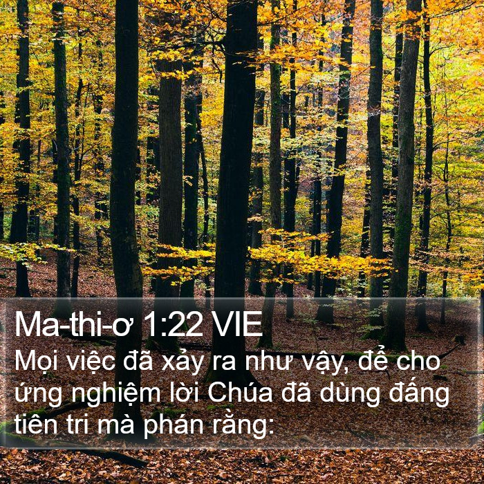 Ma-thi-ơ 1:22 VIE Bible Study