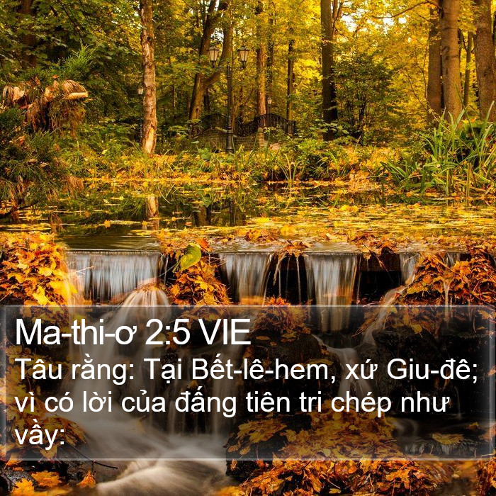 Ma-thi-ơ 2:5 VIE Bible Study