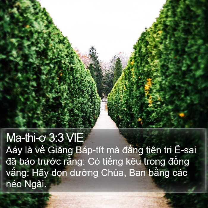 Ma-thi-ơ 3:3 VIE Bible Study