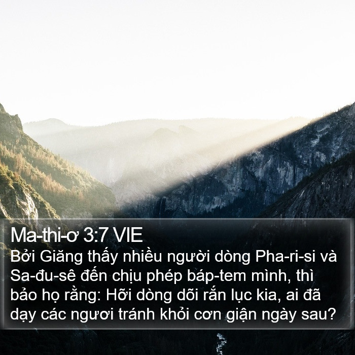 Ma-thi-ơ 3:7 VIE Bible Study