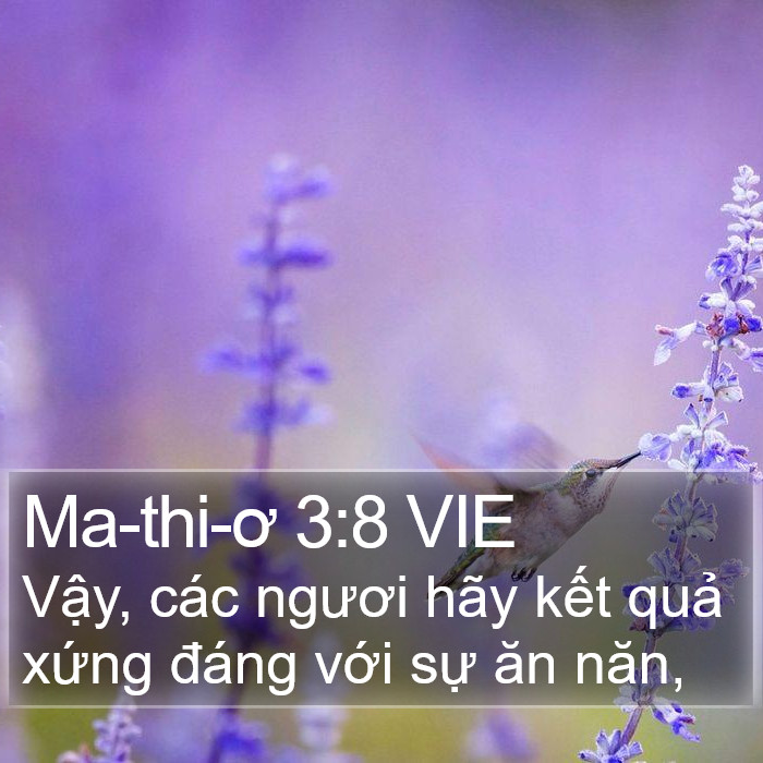 Ma-thi-ơ 3:8 VIE Bible Study