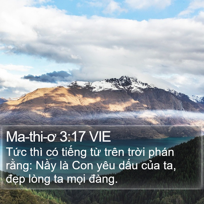 Ma-thi-ơ 3:17 VIE Bible Study