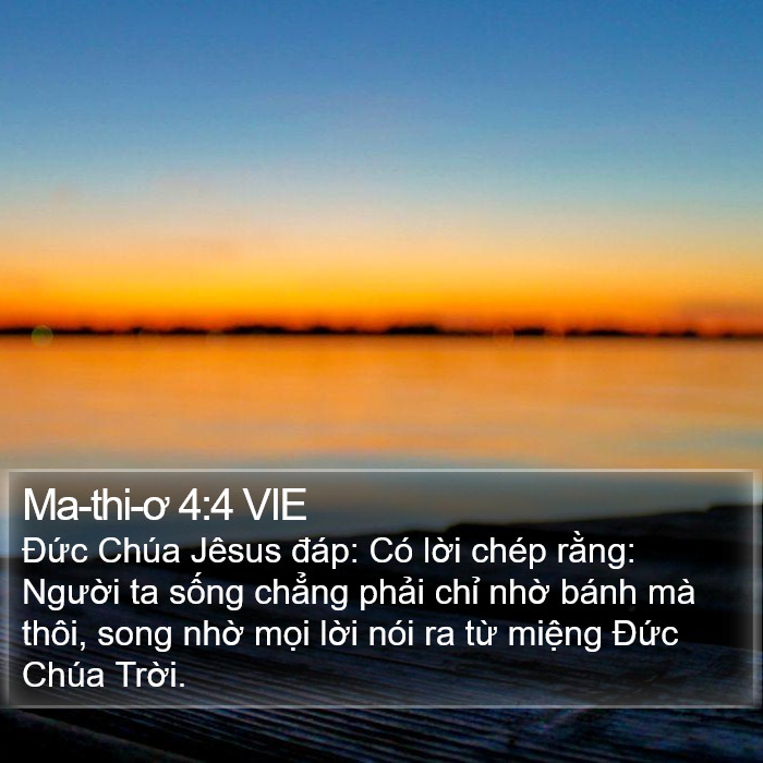 Ma-thi-ơ 4:4 VIE Bible Study