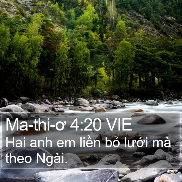 Ma-thi-ơ 4:20 VIE Bible Study