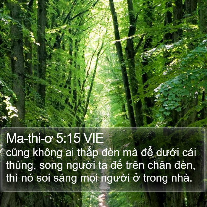 Ma-thi-ơ 5:15 VIE Bible Study