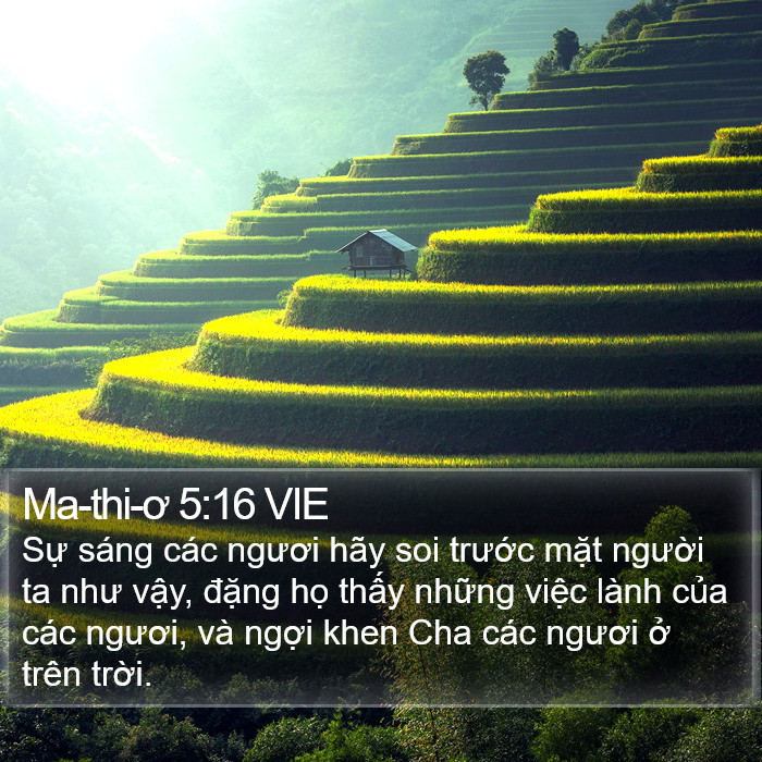 Ma-thi-ơ 5:16 VIE Bible Study
