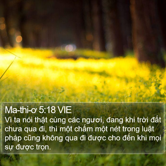 Ma-thi-ơ 5:18 VIE Bible Study