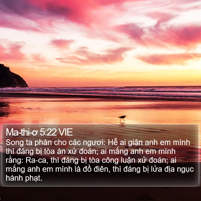 Ma-thi-ơ 5:22 VIE Bible Study
