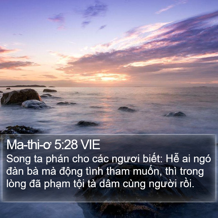 Ma-thi-ơ 5:28 VIE Bible Study