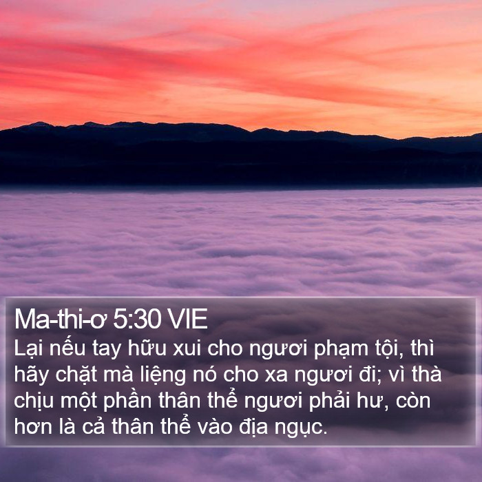 Ma-thi-ơ 5:30 VIE Bible Study
