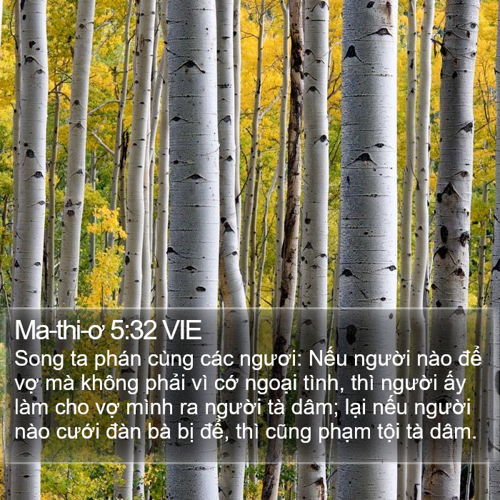 Ma-thi-ơ 5:32 VIE Bible Study