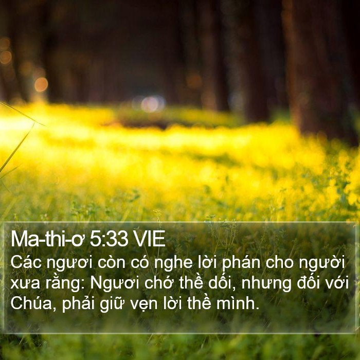 Ma-thi-ơ 5:33 VIE Bible Study