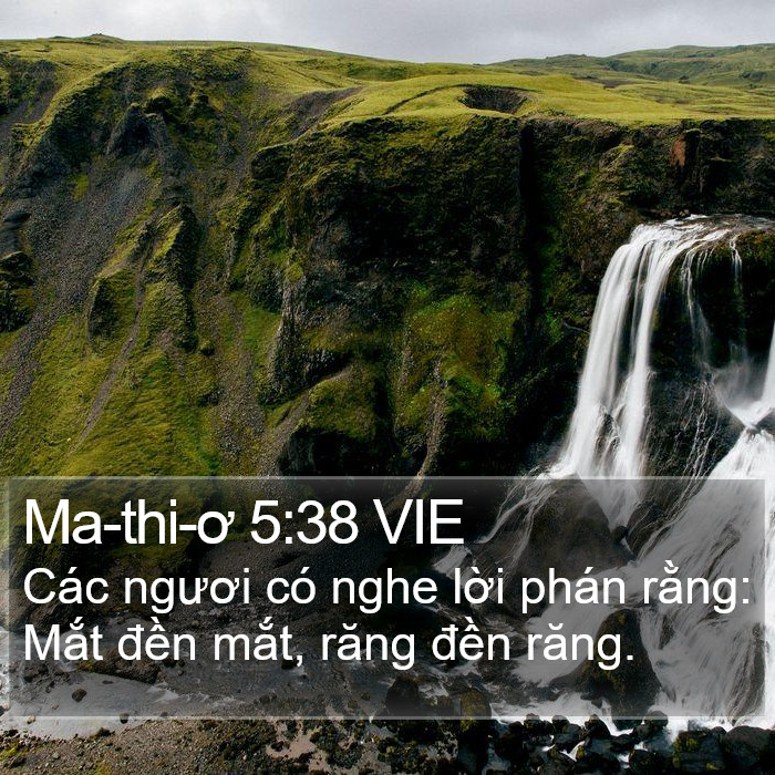 Ma-thi-ơ 5:38 VIE Bible Study