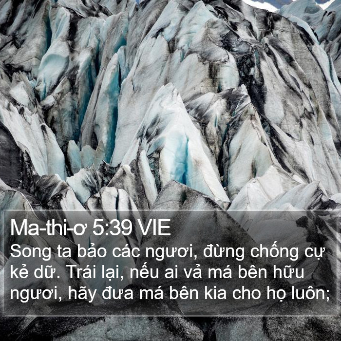 Ma-thi-ơ 5:39 VIE Bible Study
