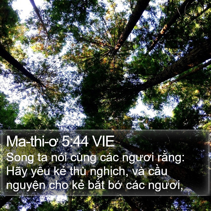 Ma-thi-ơ 5:44 VIE Bible Study
