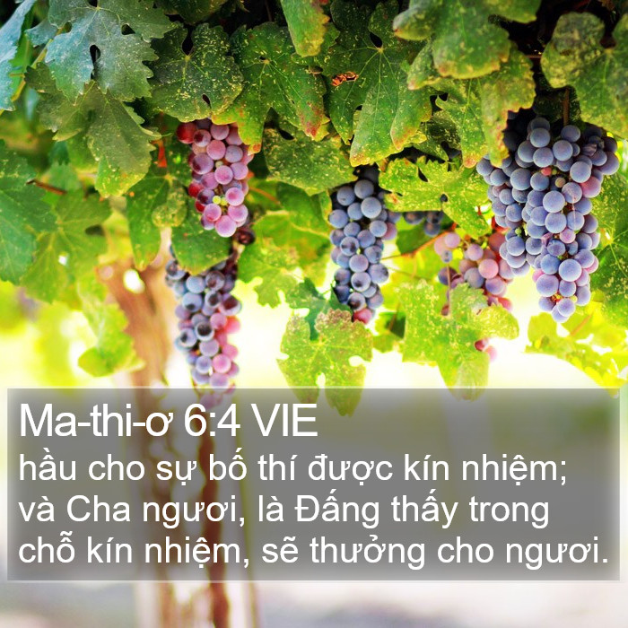 Ma-thi-ơ 6:4 VIE Bible Study