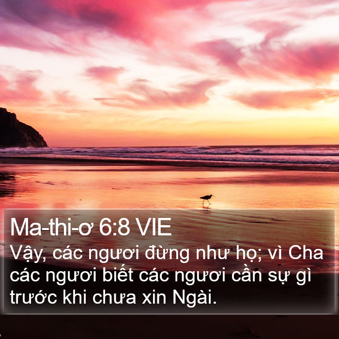 Ma-thi-ơ 6:8 VIE Bible Study