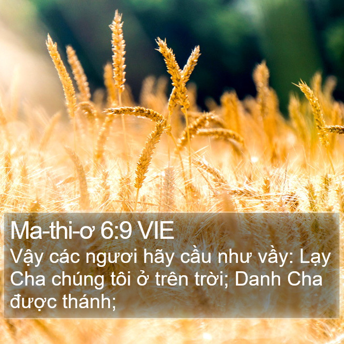 Ma-thi-ơ 6:9 VIE Bible Study