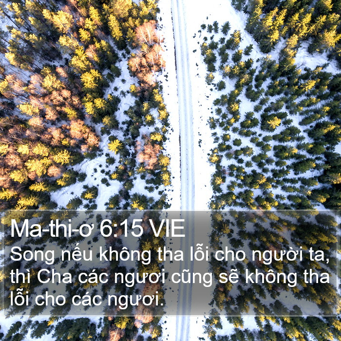 Ma-thi-ơ 6:15 VIE Bible Study