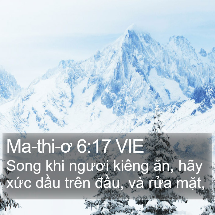 Ma-thi-ơ 6:17 VIE Bible Study