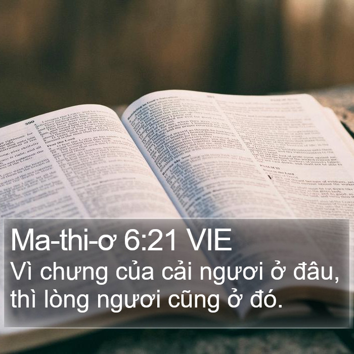 Ma-thi-ơ 6:21 VIE Bible Study