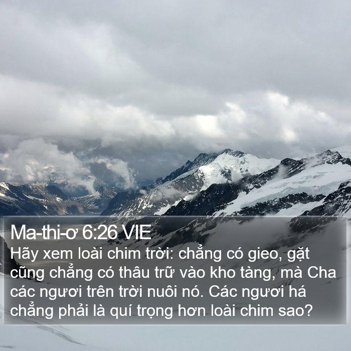 Ma-thi-ơ 6:26 VIE Bible Study