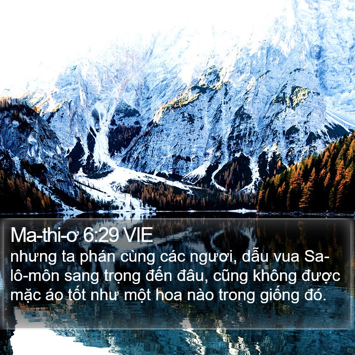 Ma-thi-ơ 6:29 VIE Bible Study