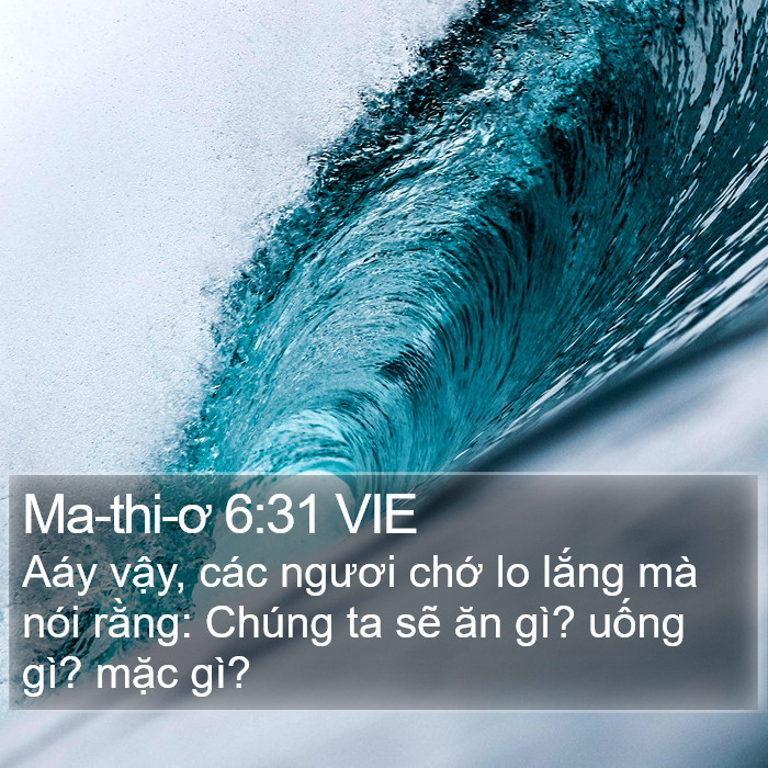 Ma-thi-ơ 6:31 VIE Bible Study