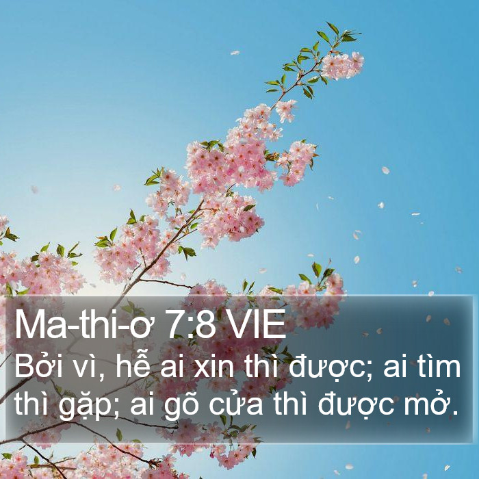 Ma-thi-ơ 7:8 VIE Bible Study