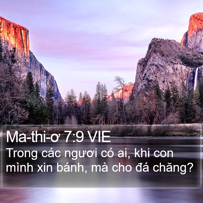 Ma-thi-ơ 7:9 VIE Bible Study