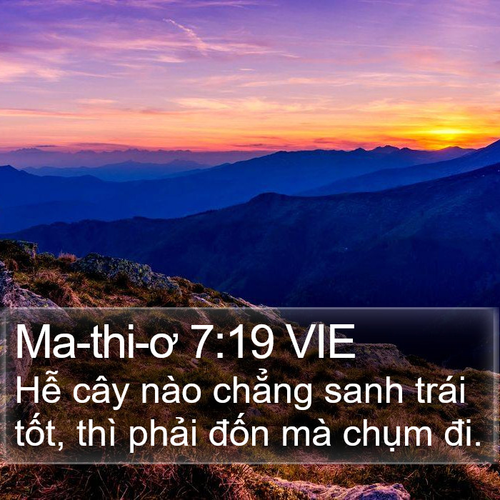 Ma-thi-ơ 7:19 VIE Bible Study