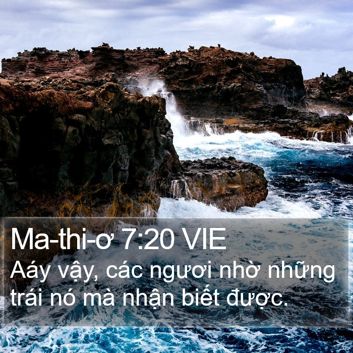 Ma-thi-ơ 7:20 VIE Bible Study