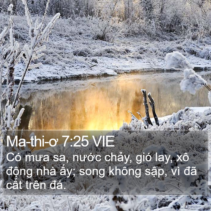 Ma-thi-ơ 7:25 VIE Bible Study