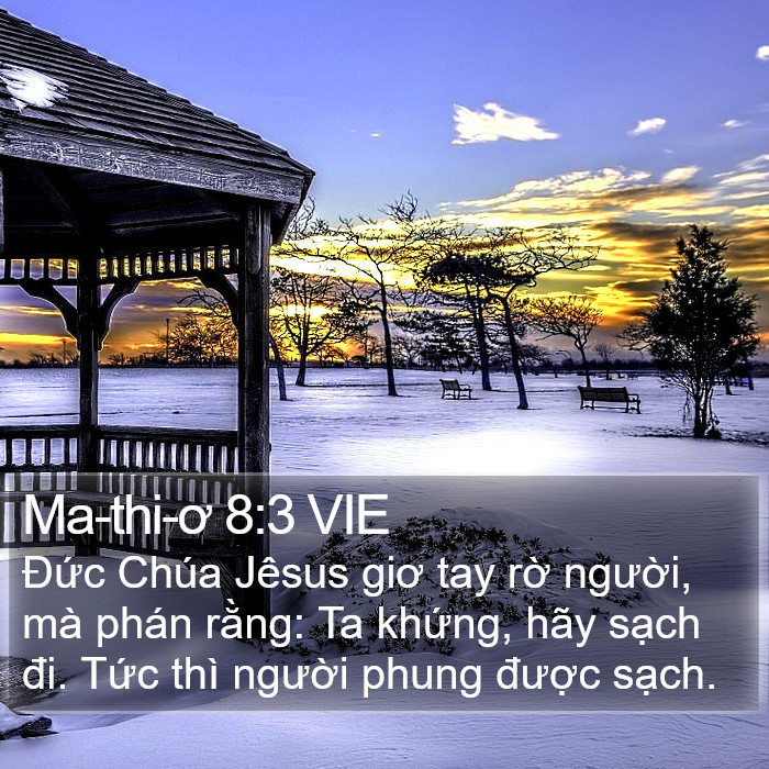 Ma-thi-ơ 8:3 VIE Bible Study