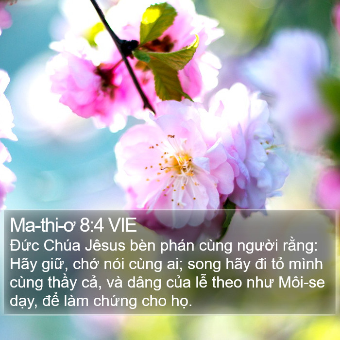 Ma-thi-ơ 8:4 VIE Bible Study