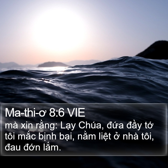 Ma-thi-ơ 8:6 VIE Bible Study