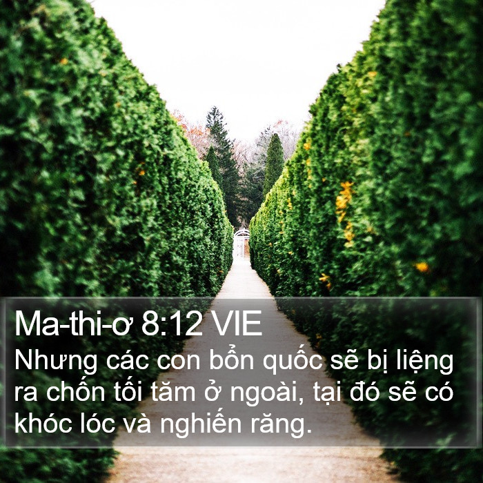 Ma-thi-ơ 8:12 VIE Bible Study