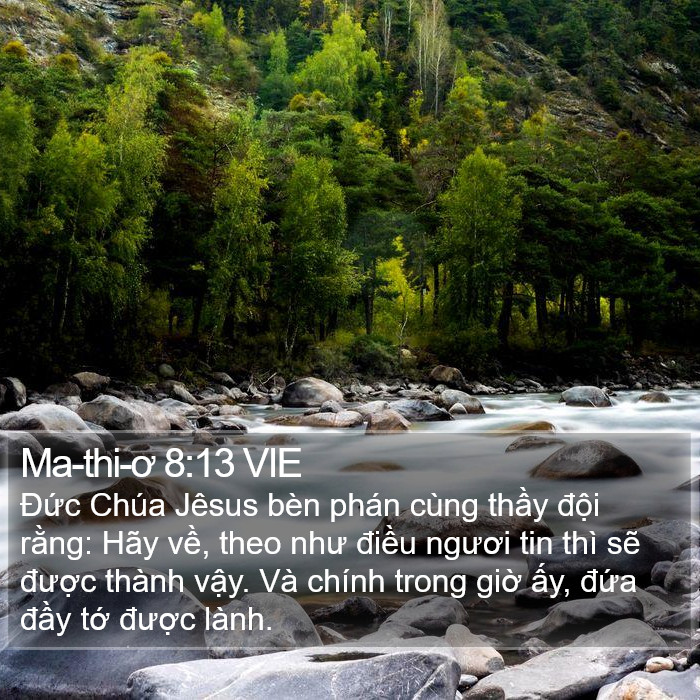 Ma-thi-ơ 8:13 VIE Bible Study