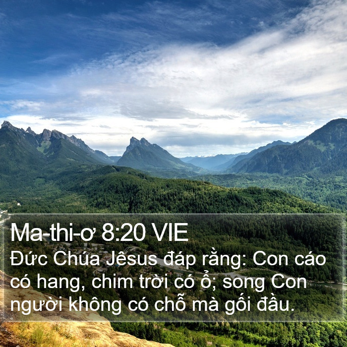 Ma-thi-ơ 8:20 VIE Bible Study