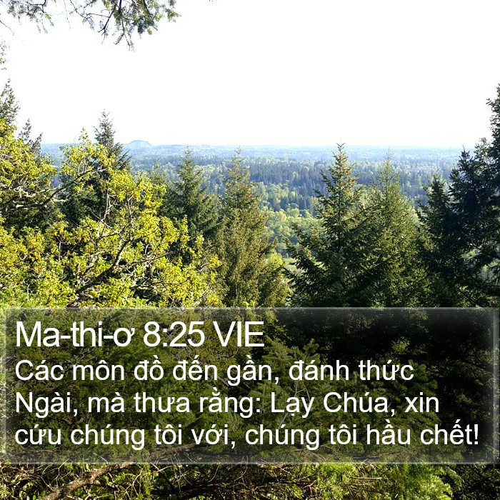 Ma-thi-ơ 8:25 VIE Bible Study