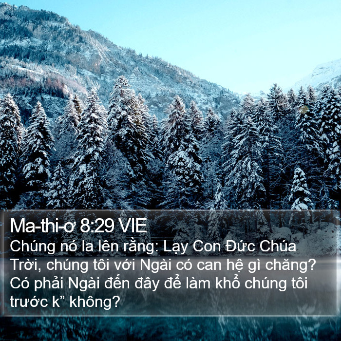 Ma-thi-ơ 8:29 VIE Bible Study