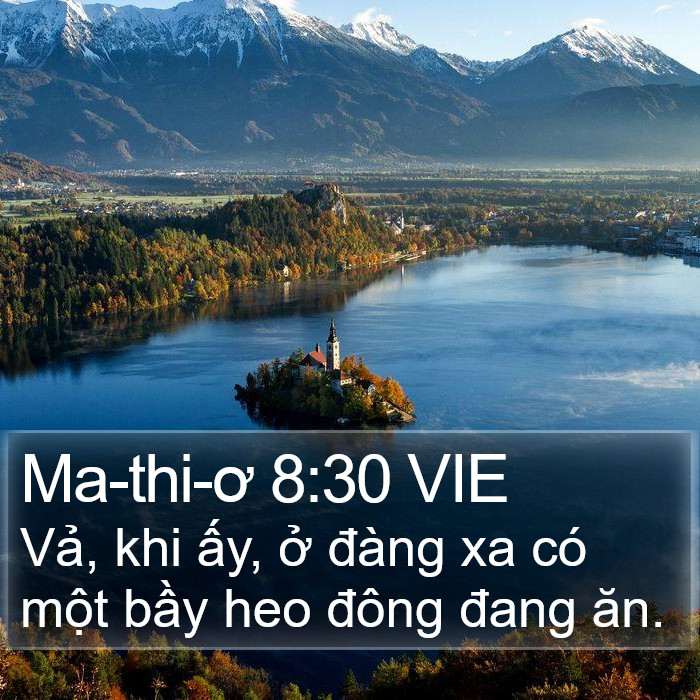 Ma-thi-ơ 8:30 VIE Bible Study