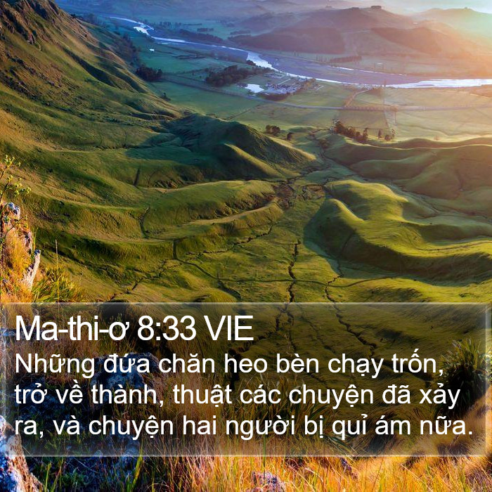 Ma-thi-ơ 8:33 VIE Bible Study