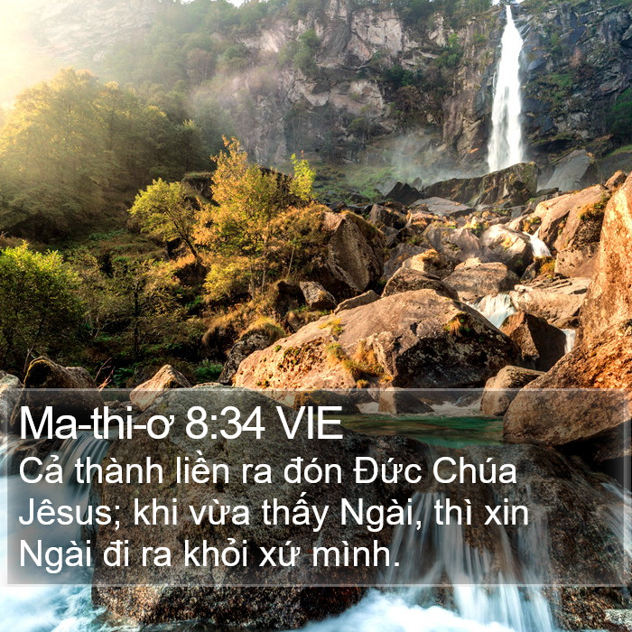 Ma-thi-ơ 8:34 VIE Bible Study