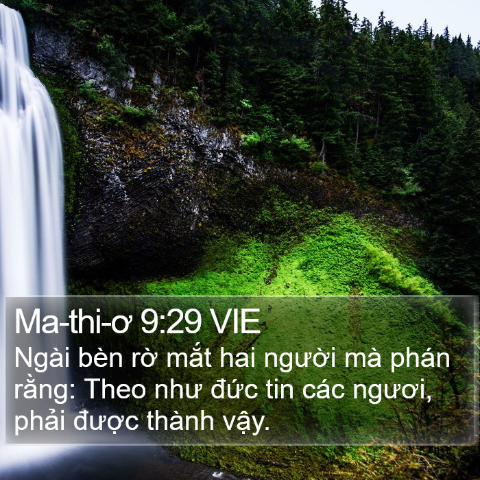 Ma-thi-ơ 9:29 VIE Bible Study
