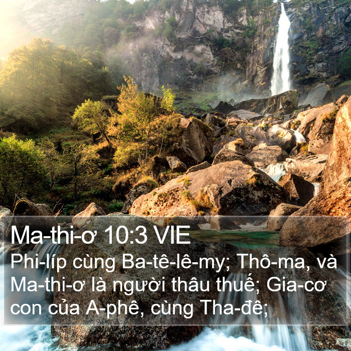Ma-thi-ơ 10:3 VIE Bible Study